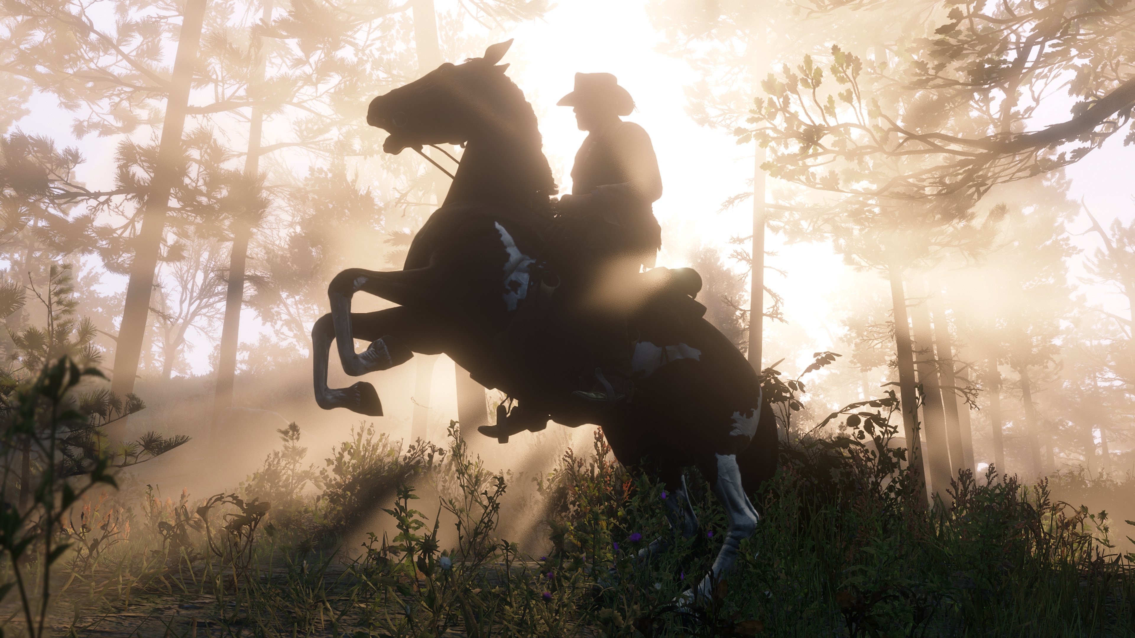 Red Dead Redemption 2 HDR problem explained