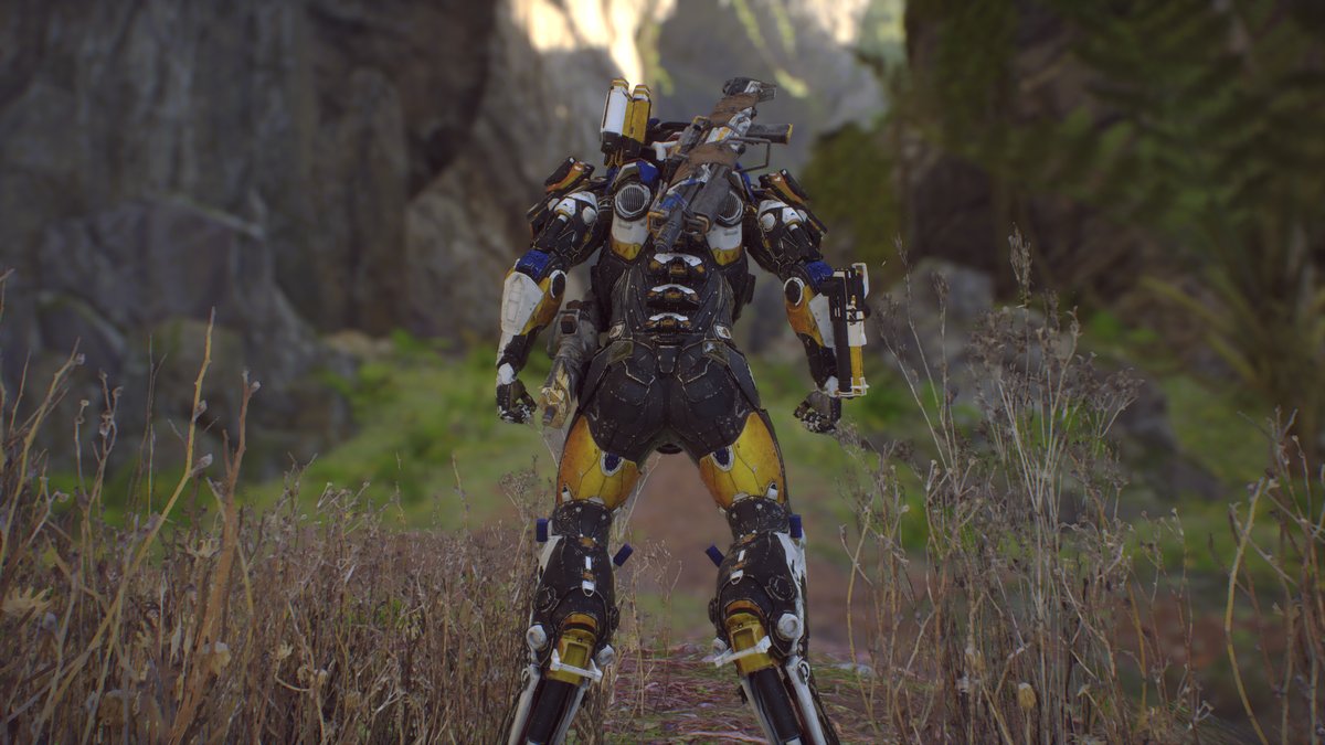 Impressions from the Anthem Demo